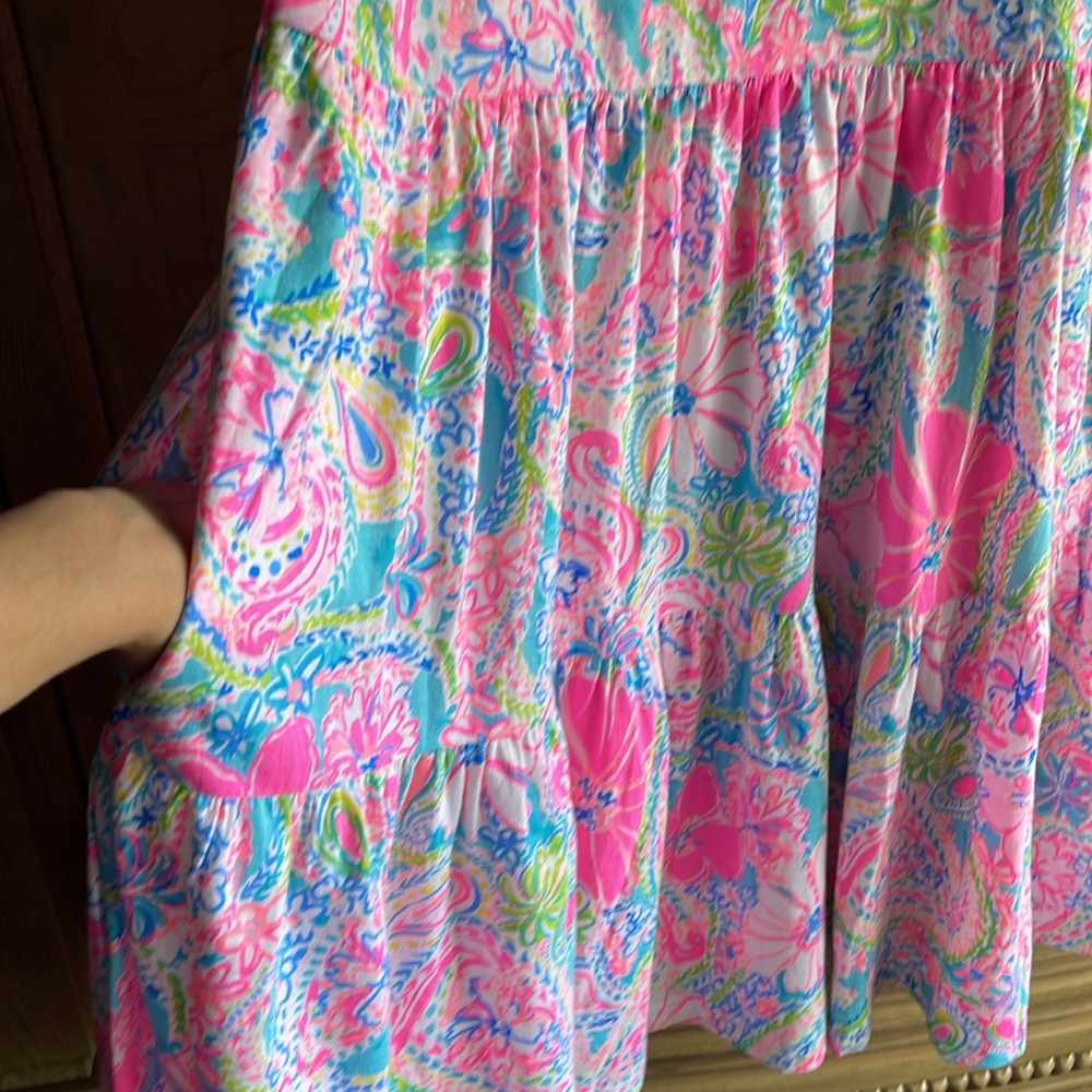 Lilly Pulitzer 🔥 Geanna 🌸Swing Dress Flock
Full of Fun - Picture 6 of 8